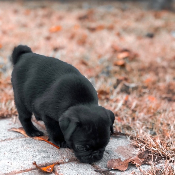 Edits for Social Media or whatever you need. - Picture 1 of 8